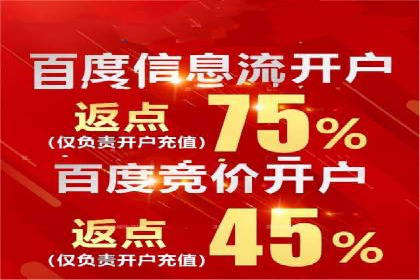 行业领先企业的SEM竞价代运营案例解析